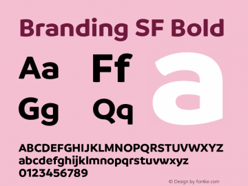 Branding SF Bold Version 1.000;hotconv 1.0.109;makeotfexe 2.5.65596图片样张