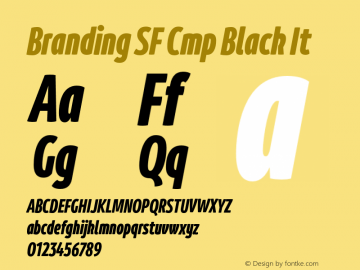 Branding SF Cmp Black It Version 1.000;hotconv 1.0.109;makeotfexe 2.5.65596图片样张