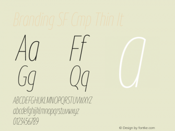 Branding SF Cmp Thin It Version 1.000;hotconv 1.0.109;makeotfexe 2.5.65596图片样张