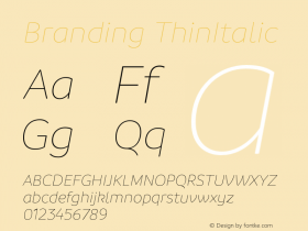 Branding-ThinItalic Version 1.000;PS 001.000;hotconv 1.0.88;makeotf.lib2.5.64775图片样张