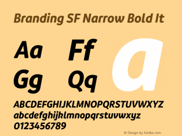 Branding SF Narrow Bold It Version 1.000;hotconv 1.0.109;makeotfexe 2.5.65596图片样张