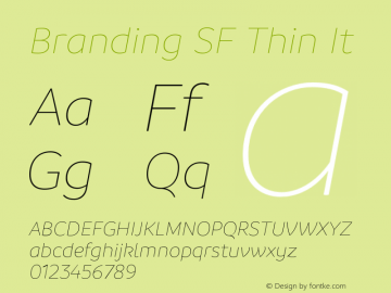 Branding SF Thin It Version 1.000;hotconv 1.0.109;makeotfexe 2.5.65596图片样张