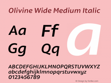 Olivine Wide Medium Italic Version 1.000;PS 001.000;hotconv 1.0.88;makeotf.lib2.5.64775图片样张