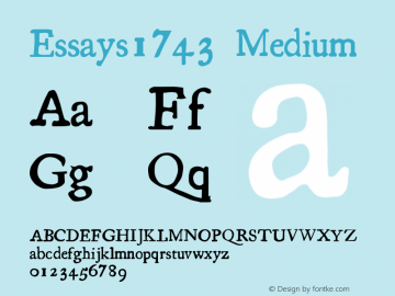 Essays1743 Medium Version 001.203图片样张