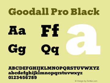 Goodall Pro Black Version 1.002图片样张