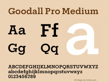 Goodall Pro Medium Version 1.002图片样张