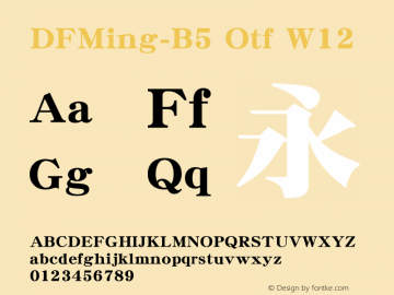 DFMing-B5 Otf W12 图片样张