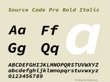 Source Code Pro Bold Italic Version 1.016;hotconv 1.0.116;makeotfexe 2.5.65601图片样张