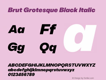 Brut Grotesque Black Italic Version 6.001;PS 6.1;hotconv 1.0.88;makeotf.lib2.5.647800图片样张