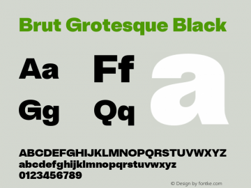 Brut Grotesque Black Version 6.001;PS 6.1;hotconv 1.0.88;makeotf.lib2.5.647800图片样张