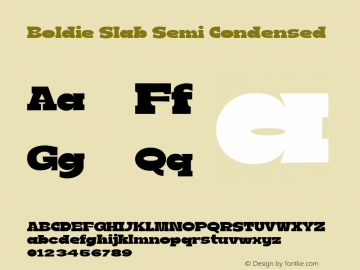 Boldie Slab Semi Condensed Version 1.000图片样张