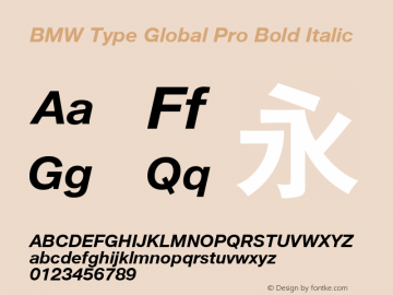 bmwtypeglobalpro bold скачать