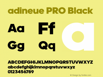 adineue PRO Black Version 1.013;PS 1.0;hotconv 1.0.79;makeotf.lib2.5.61930图片样张