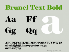 BrunelText-Bold Version 1.001 2019 | web-ttf图片样张