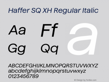 Haffer SQ XH Regular Italic Version 1.004;FEAKit 1.0图片样张