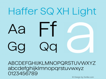 Haffer SQ XH Light Version 1.004;FEAKit 1.0图片样张