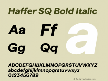 Haffer SQ Bold Italic Version 1.004;FEAKit 1.0图片样张