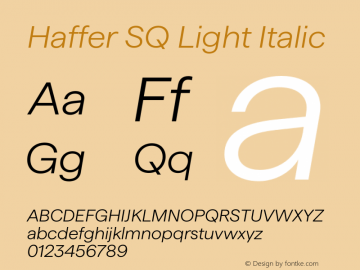 Haffer SQ Light Italic Version 1.004;FEAKit 1.0图片样张