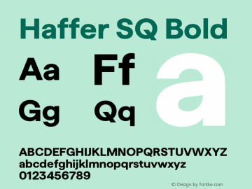 Haffer SQ Bold Version 1.004;FEAKit 1.0图片样张