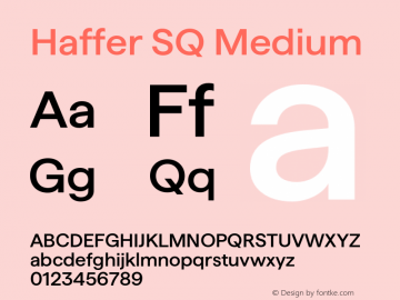 Haffer SQ Medium Version 1.004;FEAKit 1.0图片样张