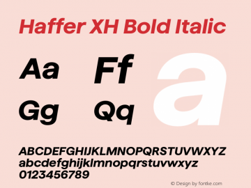 Haffer XH Bold Italic Version 1.003;FEAKit 1.0图片样张
