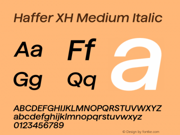 Haffer XH Medium Italic Version 1.003;FEAKit 1.0图片样张