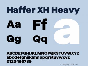 Haffer XH Heavy Version 1.003;FEAKit 1.0图片样张