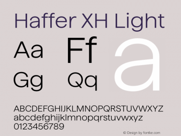 Haffer XH Light Version 1.003;FEAKit 1.0图片样张