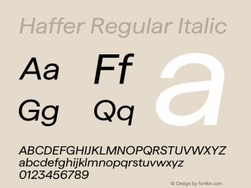 Haffer Regular Italic Version 1.003;FEAKit 1.0图片样张