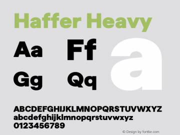 Haffer Heavy Version 1.003;FEAKit 1.0图片样张
