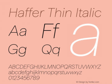 Haffer Thin Italic Version 1.003;FEAKit 1.0图片样张
