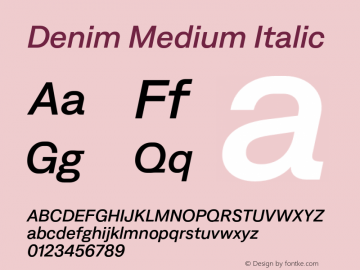 Denim Medium Italic Version 3.000;FEAKit 1.0图片样张