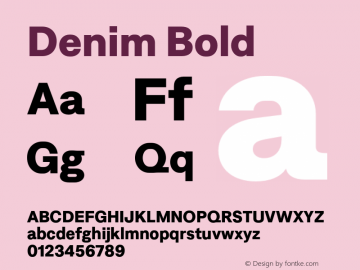 Denim Bold Version 3.000;FEAKit 1.0图片样张