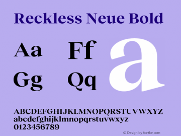 Reckless Neue Bold Version 3.000;FEAKit 1.0图片样张