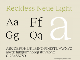 Reckless Neue Light Version 3.000;FEAKit 1.0图片样张