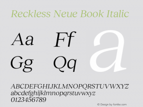 Reckless Neue Book Italic Version 3.000;FEAKit 1.0图片样张
