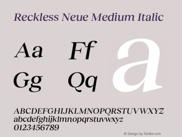 Reckless Neue Medium Italic Version 3.000;FEAKit 1.0图片样张