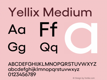 Yellix Medium Version 3.000;FEAKit 1.0图片样张
