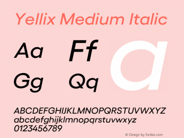 Yellix Medium Italic Version 3.000;FEAKit 1.0图片样张