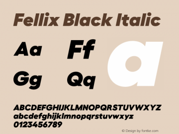 Fellix Black Italic Version 3.000;FEAKit 1.0图片样张