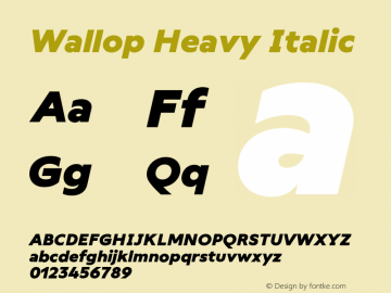 Wallop Heavy Italic Version 3.000;FEAKit 1.0图片样张