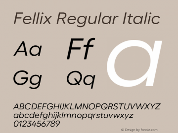 Fellix Regular Italic Version 3.000;FEAKit 1.0图片样张