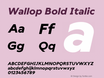 Wallop Bold Italic Version 3.000;FEAKit 1.0图片样张