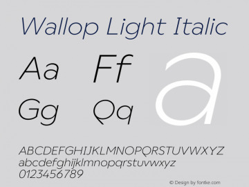 Wallop Light Italic Version 3.000;FEAKit 1.0图片样张