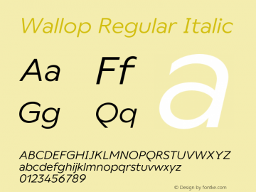 Wallop Regular Italic Version 3.000;FEAKit 1.0图片样张