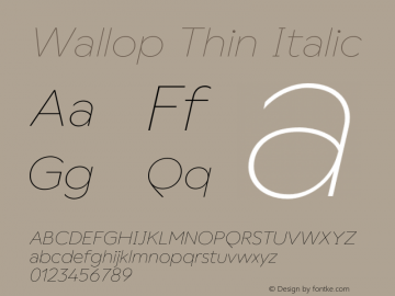 Wallop Thin Italic Version 3.000;FEAKit 1.0图片样张