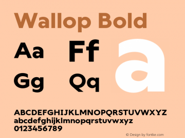 Wallop Bold Version 3.000;FEAKit 1.0图片样张