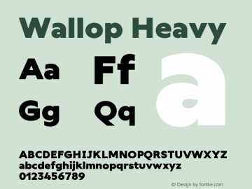 Wallop Heavy Version 3.000;FEAKit 1.0图片样张