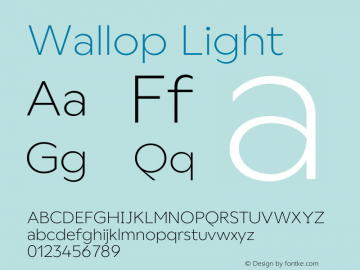 Wallop Light Version 3.000;FEAKit 1.0图片样张