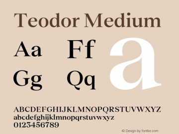 Teodor Medium Version 3.000;FEAKit 1.0图片样张